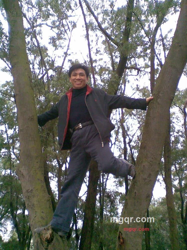 开富贵花的第3张照片