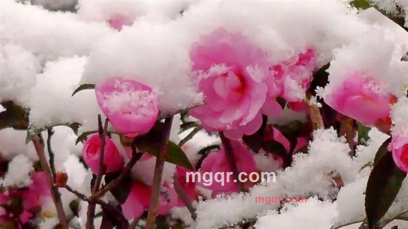 夏娃的第4张照片