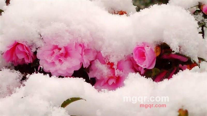 夏娃的第2张照片