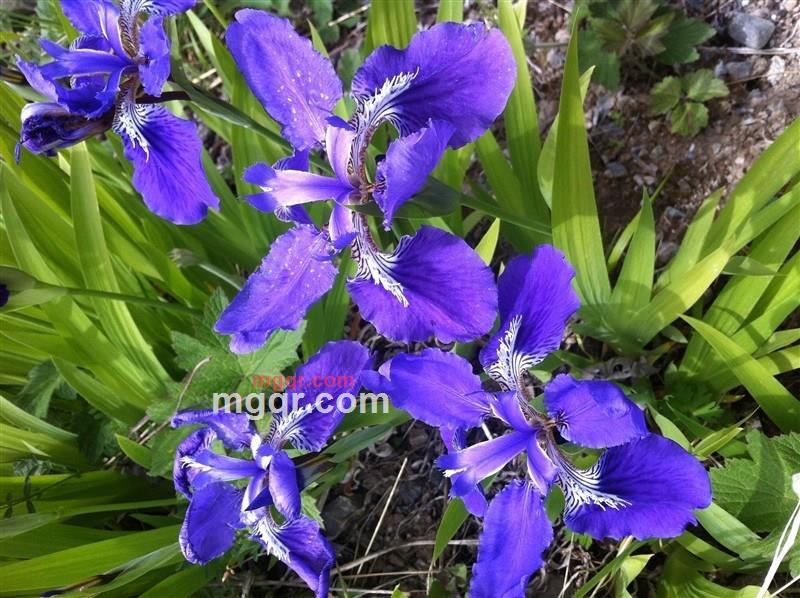 坚硬挺的第1张照片