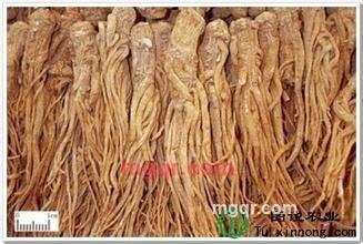 长城永远的第1张照片