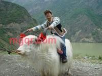 蓝天浪哥的第3张照片