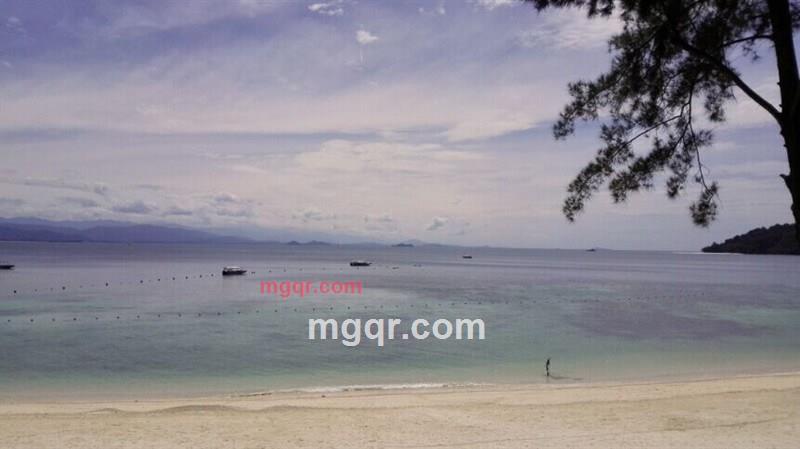 FindMe的第7张照片