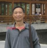 楠竹笋叶的第2张照片