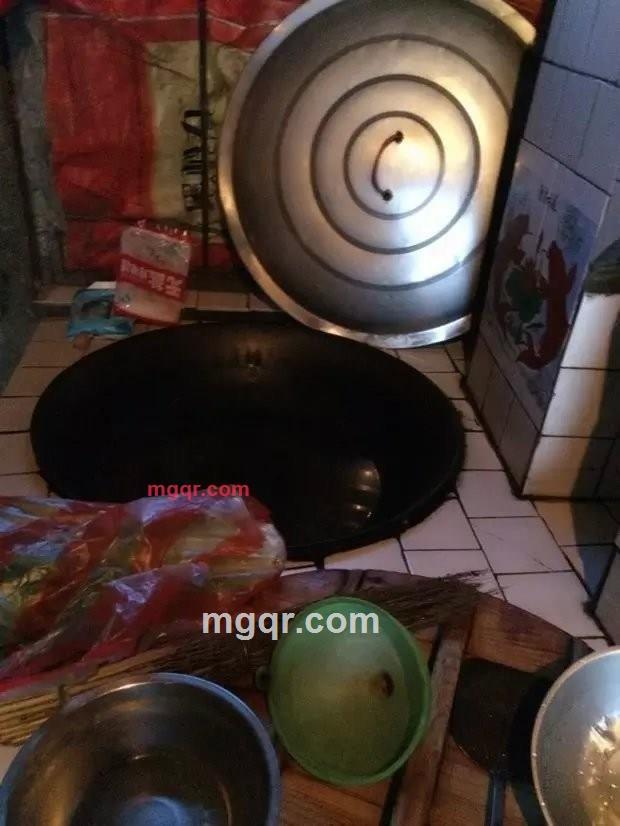 胖胖的小叶子的第6张照片