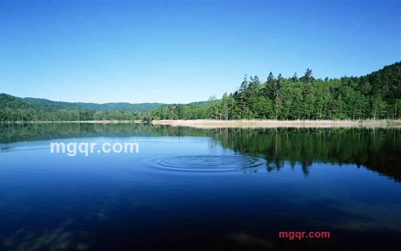 只要有爱的第3张照片