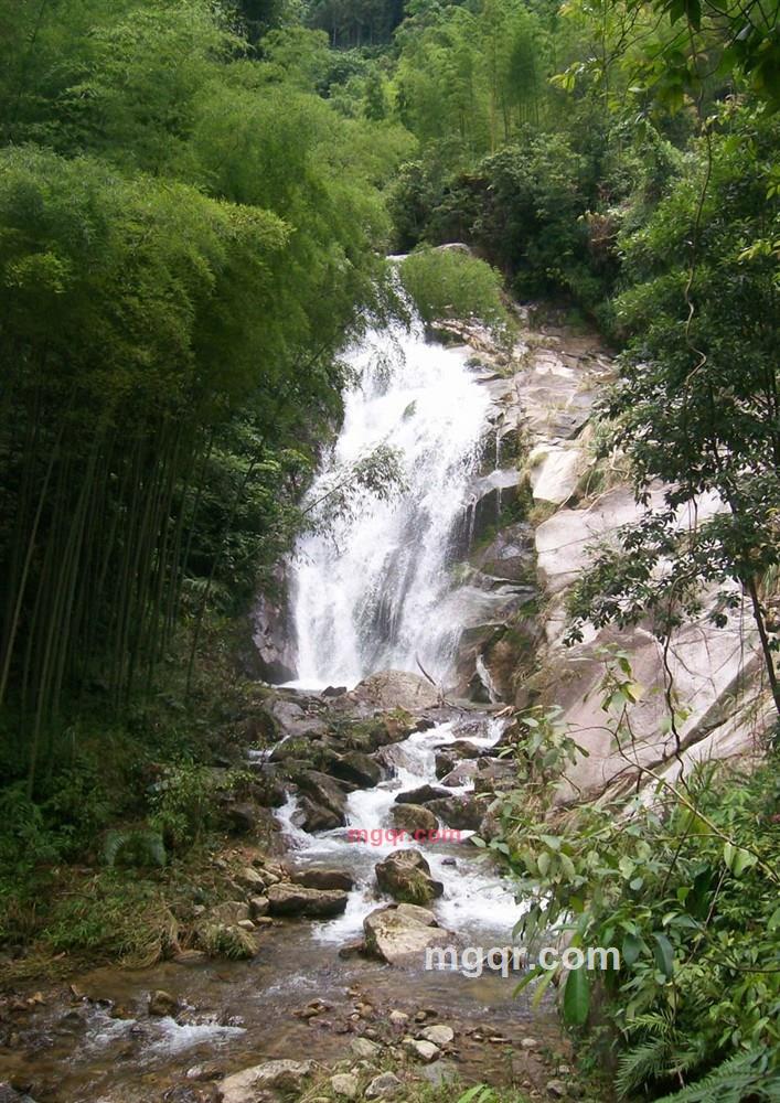 临轩一赏后醉倒万千花的第1张照片