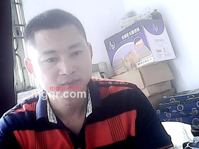  水中鱼的第2张照片