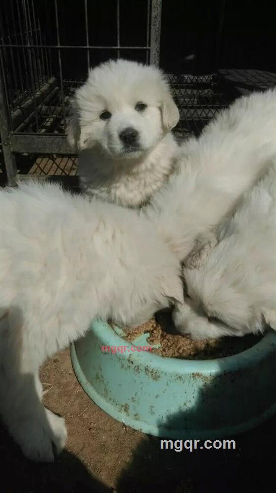 壕友的第2张照片