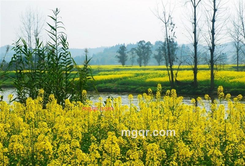 爱了-散了=孤寂的第1张照片