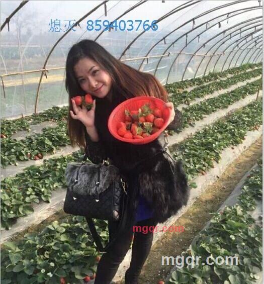 扣扣859--403766的第2张照片
