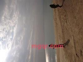 妖月0的第9张照片