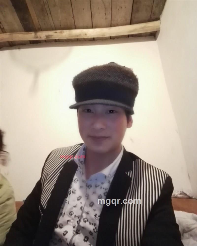 老虎 。的第1张照片