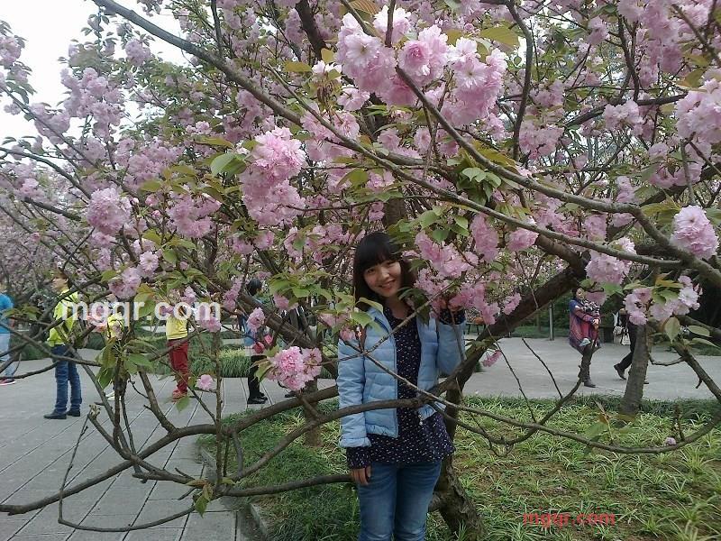 草精灵的第3张照片