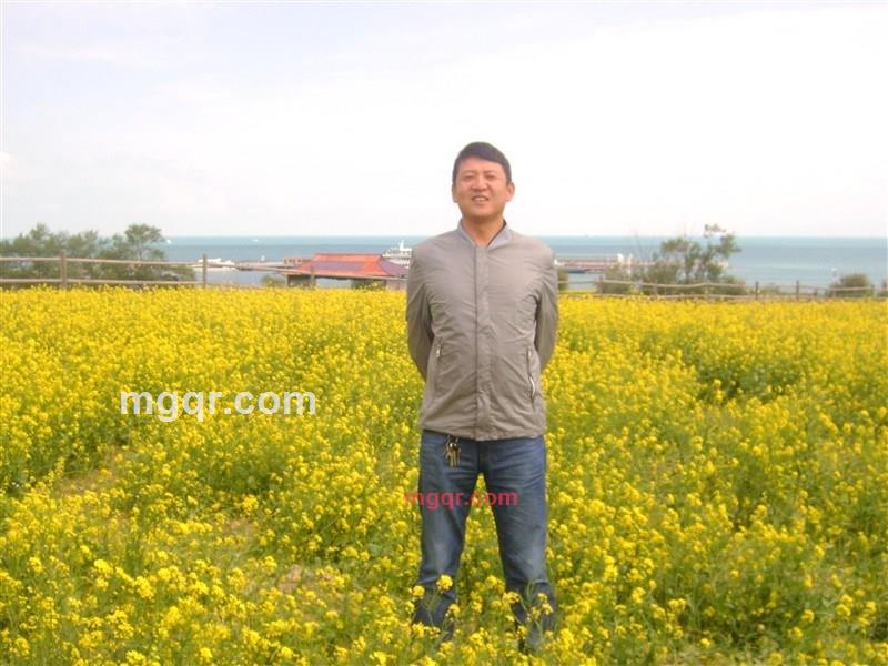 蹲到墙头等玫瑰的第1张照片