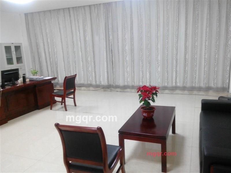 晴日白雪的第1张照片