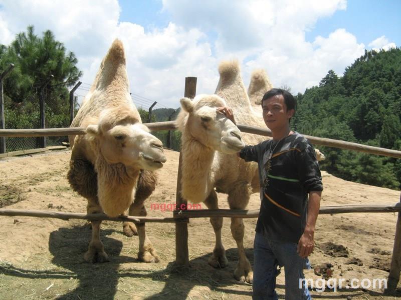 滇池圆舞曲的第1张照片