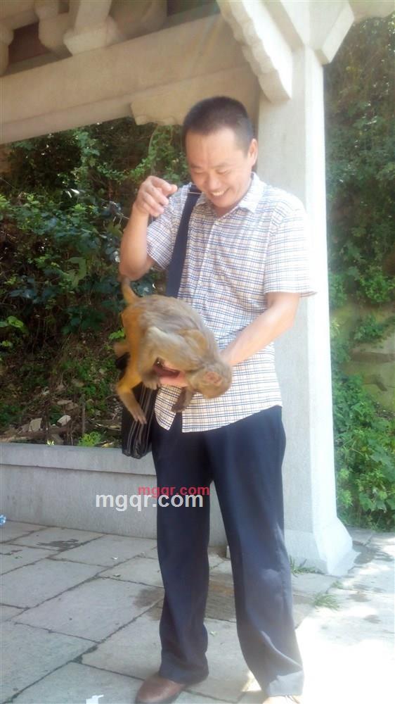 春笋租赁的第1张照片