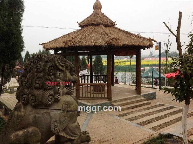 沦为乞丐的第15张照片