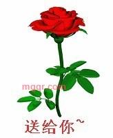 刺金时代的第1张照片