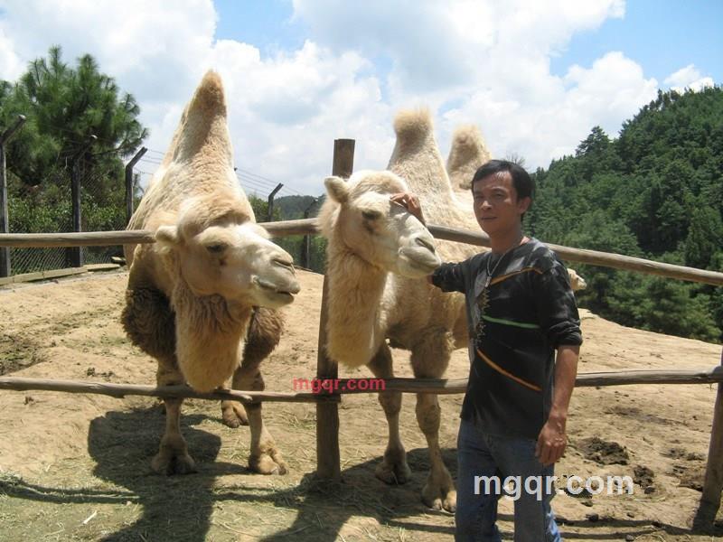 滇池圆舞曲的第2张照片