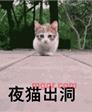 舌尖爱的第1张照片