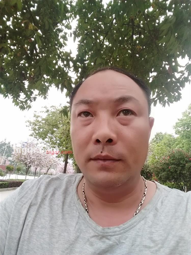 努力“工作”的第1张照片