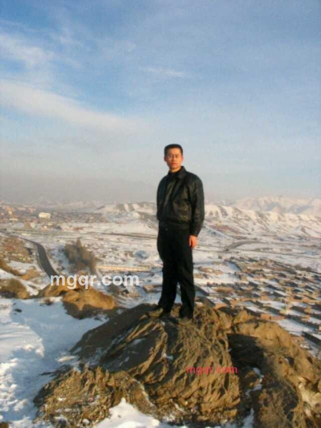 企鹅9~737~479~27的第7张照片