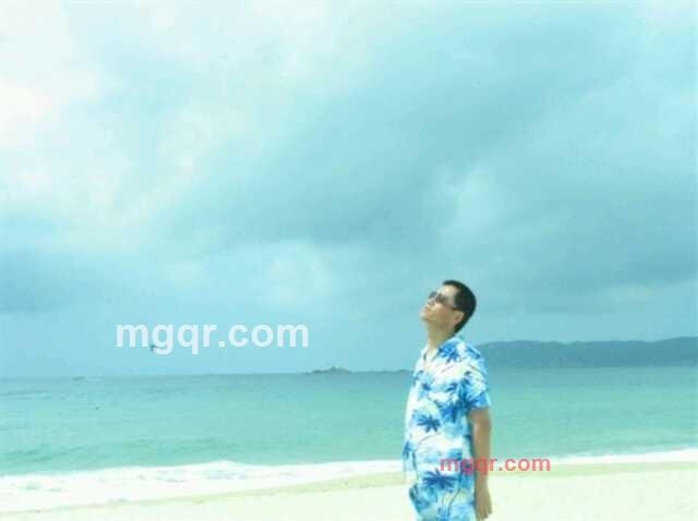 企鹅9~737~479~27的第6张照片