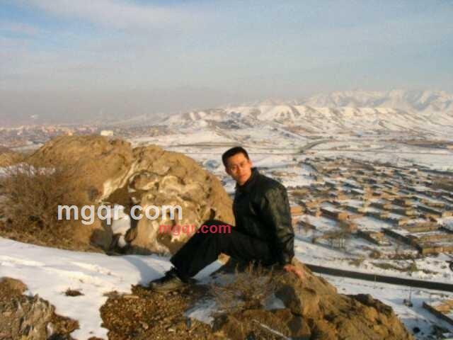 企鹅9~737~479~27的第8张照片