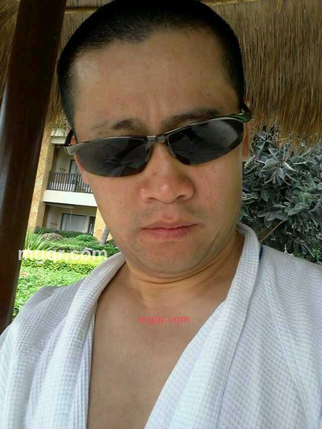 企鹅9~737~479~27的第4张照片