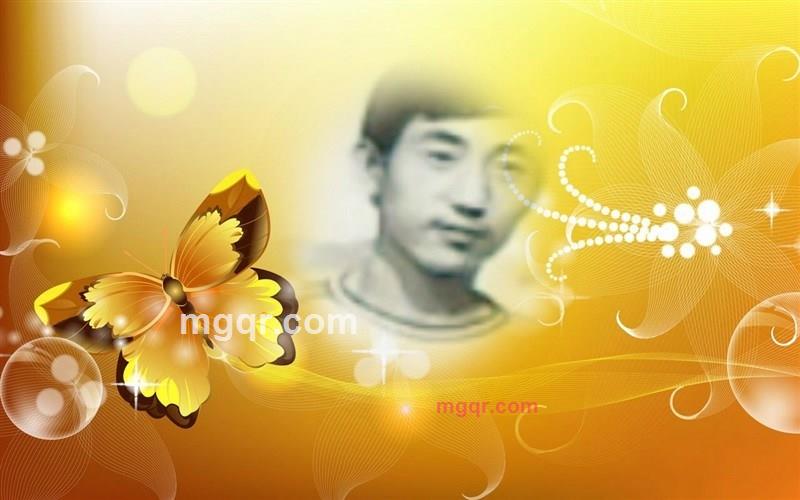 独狼A的第1张照片