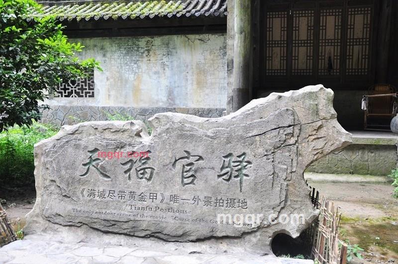 沦为乞丐的第11张照片