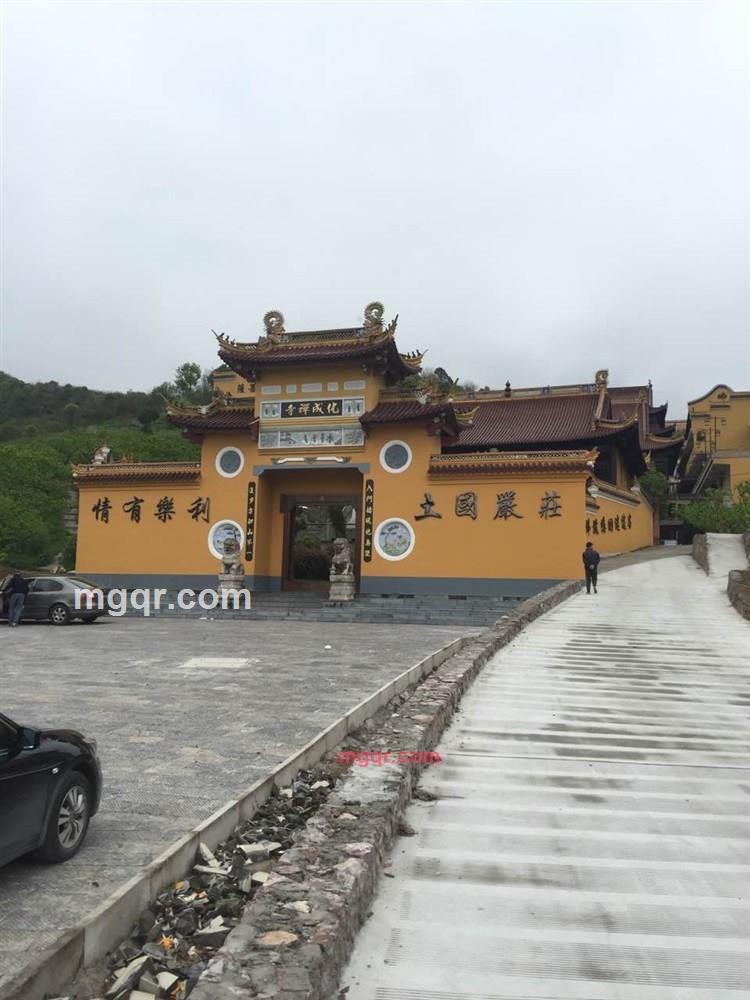 激情与速度22的第1张照片