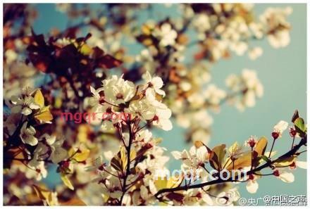 这是什么人的第1张照片