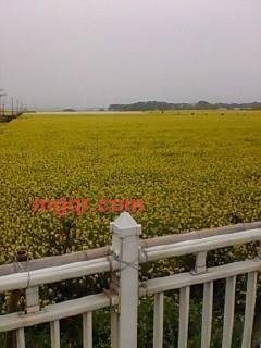 冰山的第3张照片