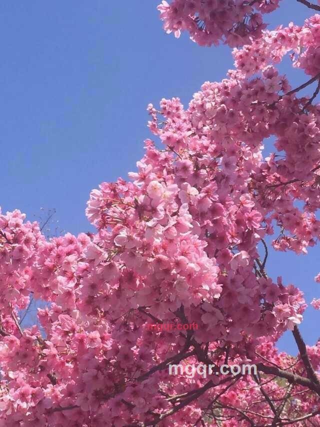 kkq789的第6张照片