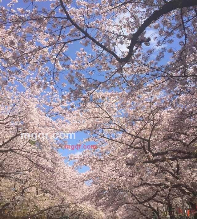 kkq789的第5张照片