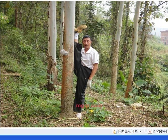 孟三的第4张照片