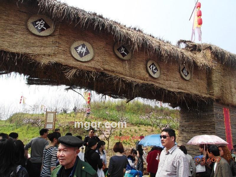 沦为乞丐的第8张照片