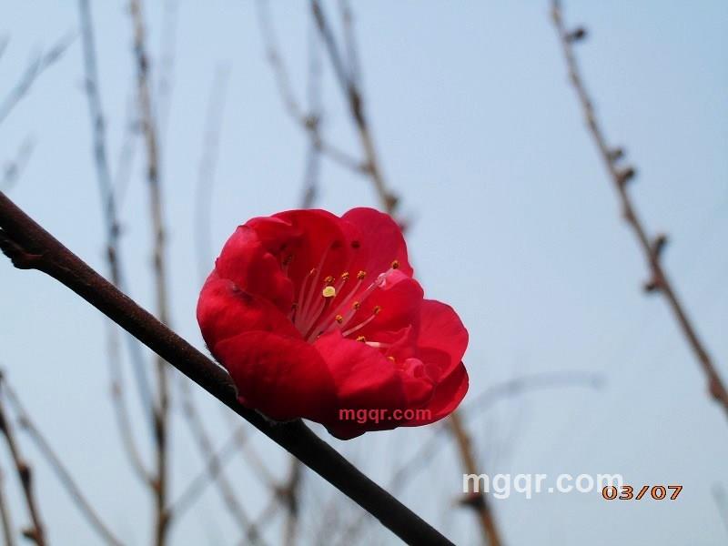 沦为乞丐的第6张照片