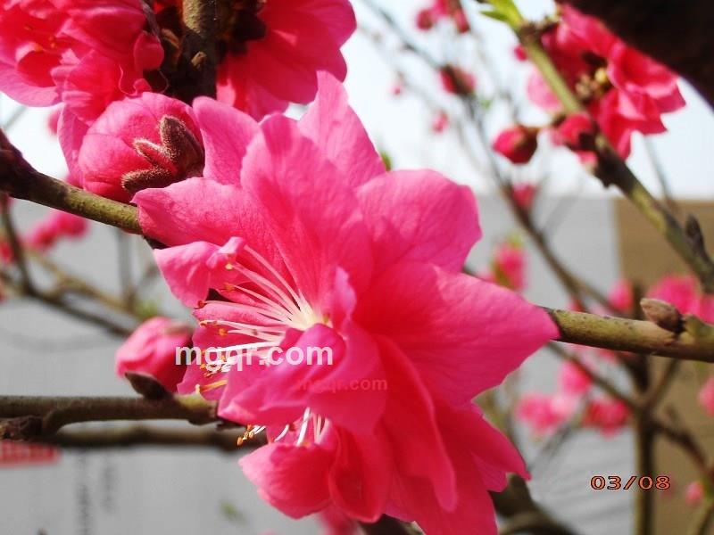 沦为乞丐的第5张照片