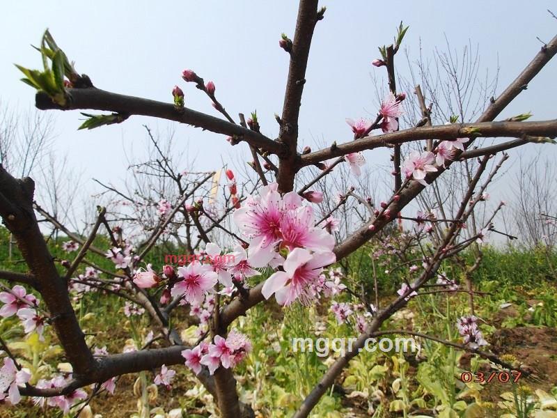 沦为乞丐的第4张照片