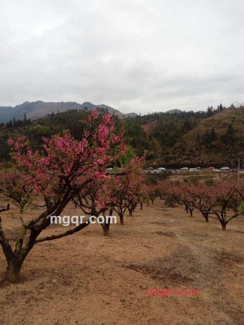 品尝人生的第3张照片