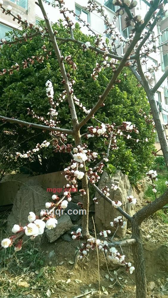 追寻的第5张照片