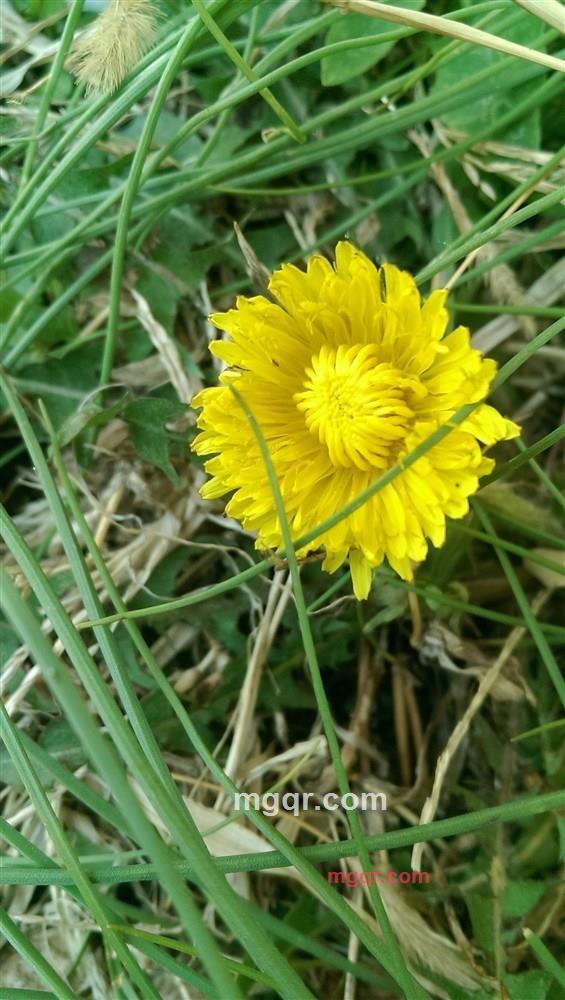 追寻的第3张照片