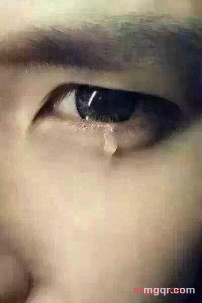 苍鹰的孤独的第2张照片