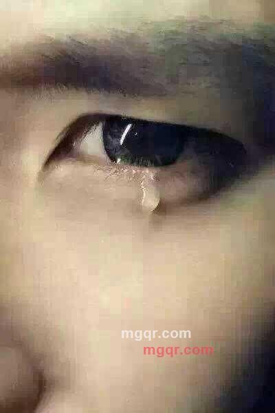 苍鹰的孤独的第1张照片