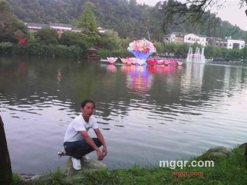 冷雨夜，心凋零的第1张照片