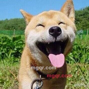 绿树成荫1的第1张照片